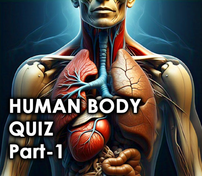 human-body-quiz-part-1